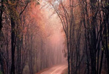 Global Hard Drive Data Recovery: A 2025 Ranking of Top Companies 